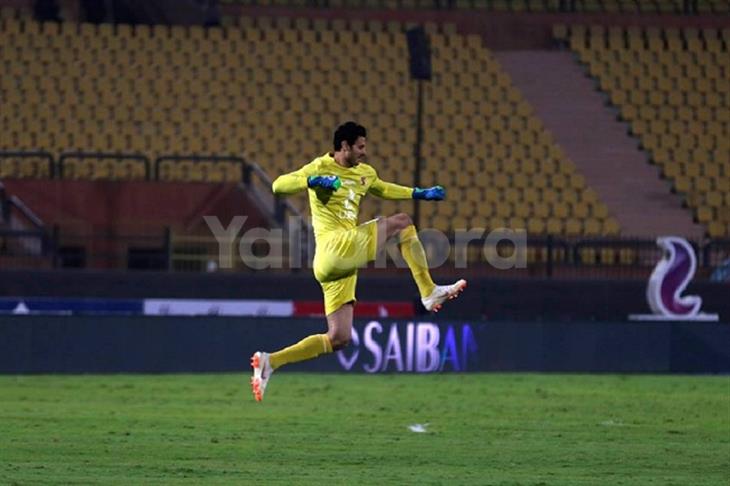 محمد الشناوي 